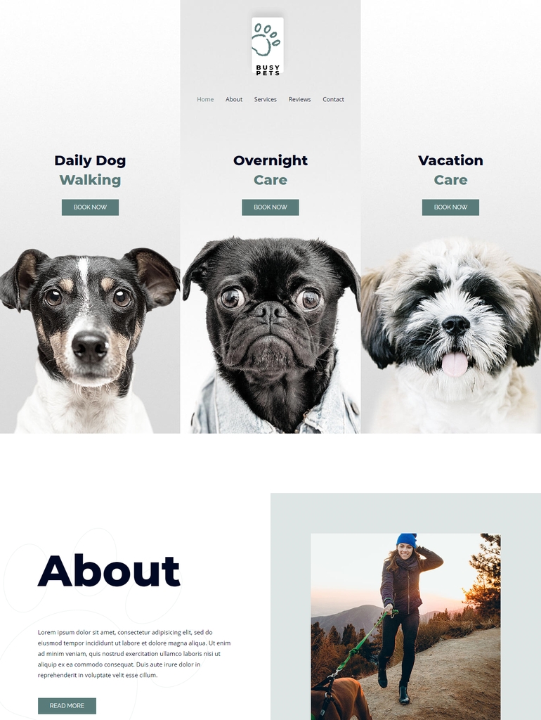 best wordpress theme for brizy builder