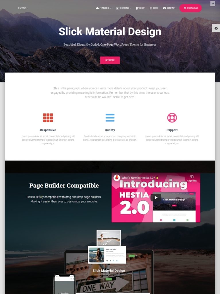 best wordpress theme for brizy builder