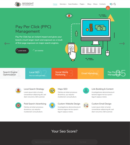 SEOSight WordPress Theme