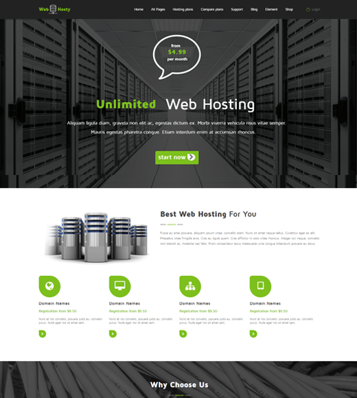 WebHosty Hosting Theme